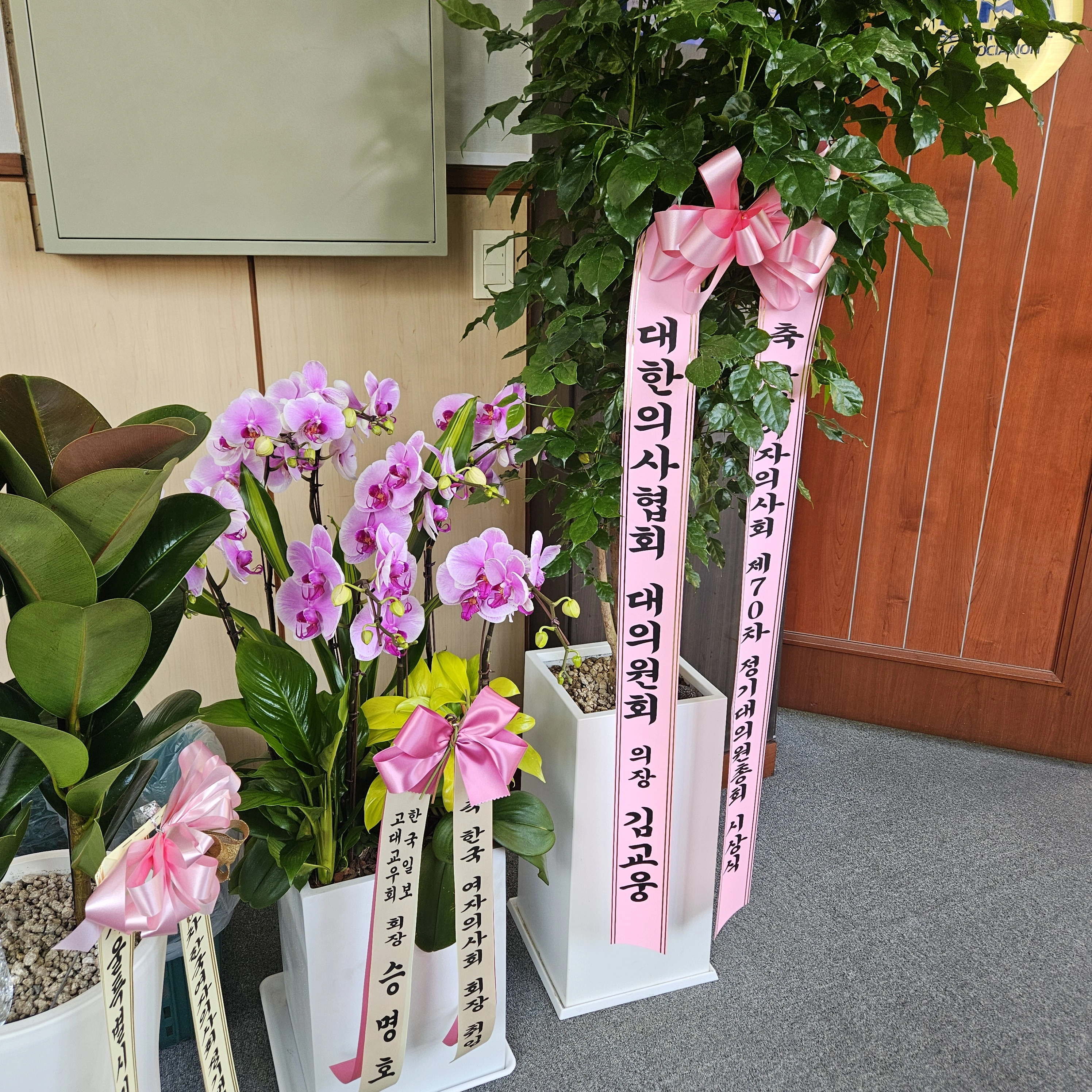 연예인 서포트 프리미엄 보자기 도시락